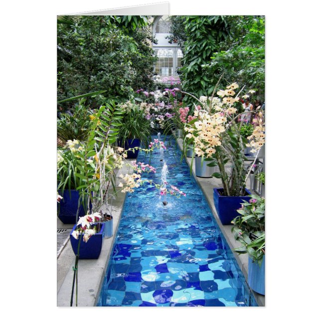 Espectáculo de orquídeas (Frente)