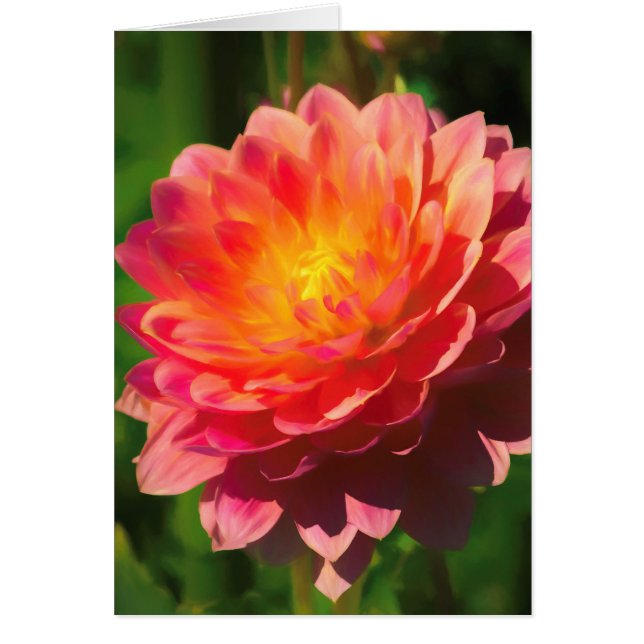 Espectáculo de verano (Frente)