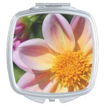 flor rosa foto, amarillo brillante-