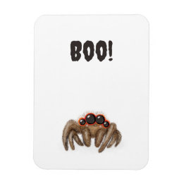 Espeluznante '¡Boo!' imán de Halloween