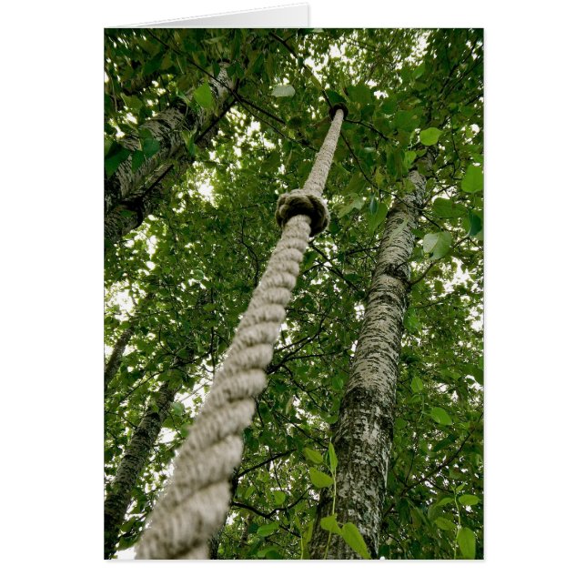 Espera y disfruta del paseo (Frente)