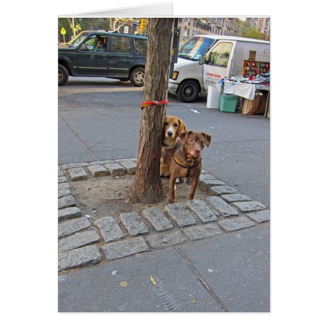 Esperando... 5x7 (Frente)