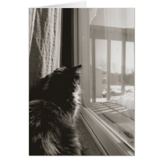 Esperando al sol