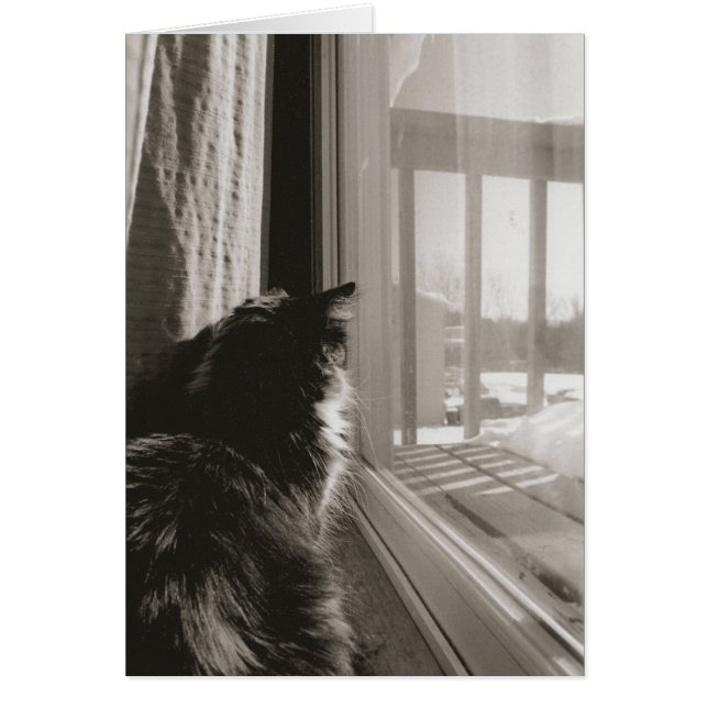 Esperando al sol (Frente)