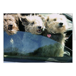 Esperando comida china