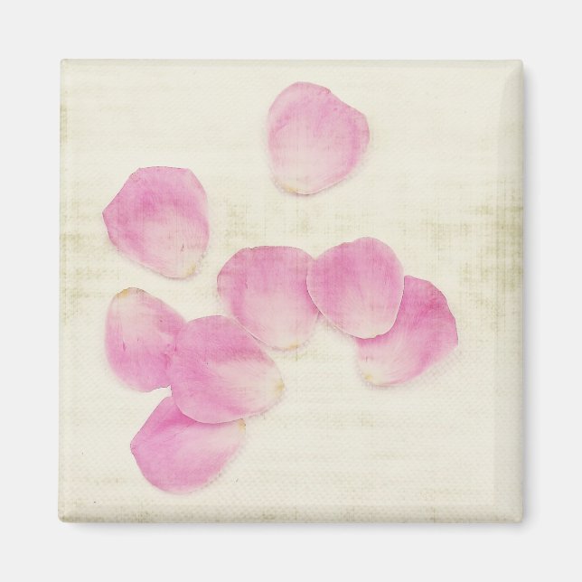 "Esperando" imán de rosas rosadas (Frente)