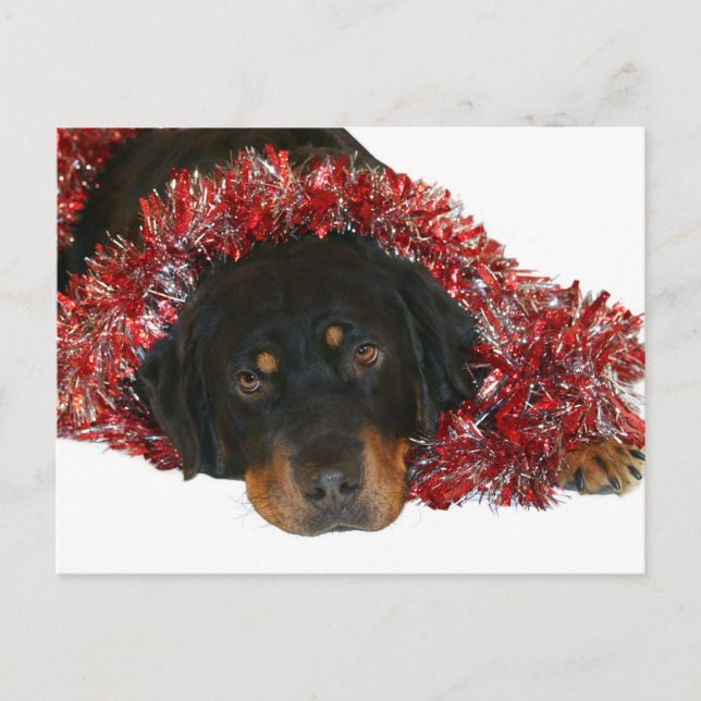 Esperando la postal Santa (Anverso)