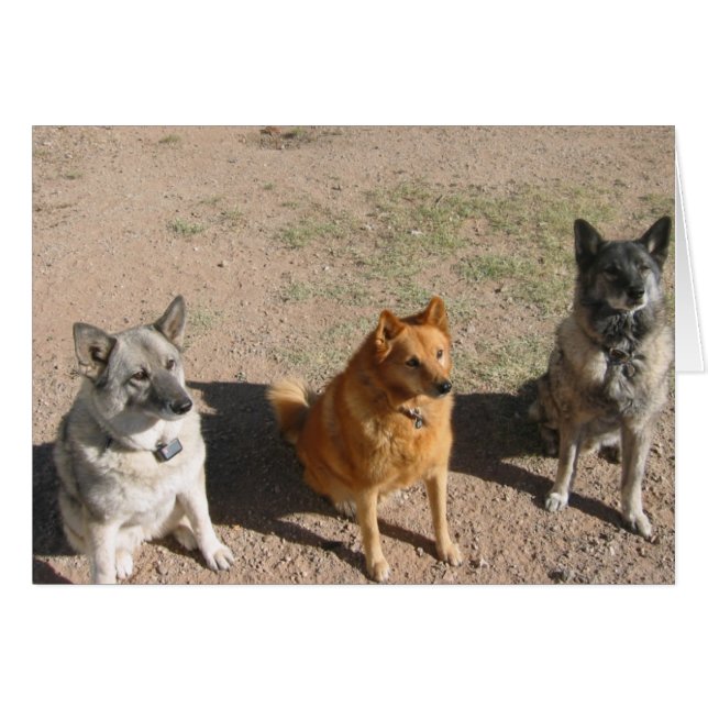 Esperando los tratamientos (Anverso (Horizontal))