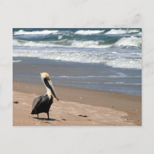 Esperando postal (Anverso)