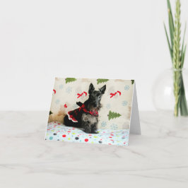 Esperando tarjeta de Navidad
