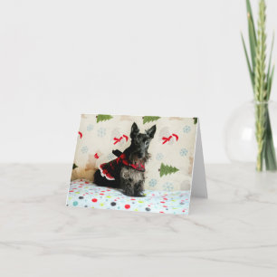 Esperando tarjeta de Navidad