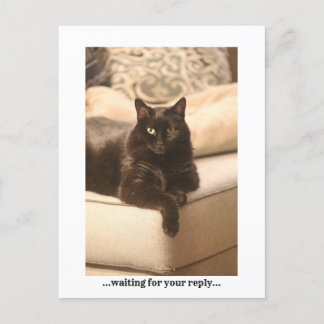 ...esperando...Tarjeta Postal