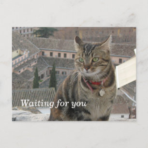 Esperando tu postal