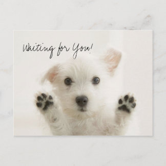 Esperando tu postal