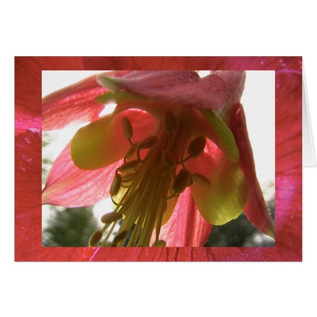 esperanza (Anverso (Horizontal))