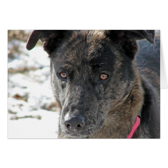 Esperanza (Anverso (Horizontal))