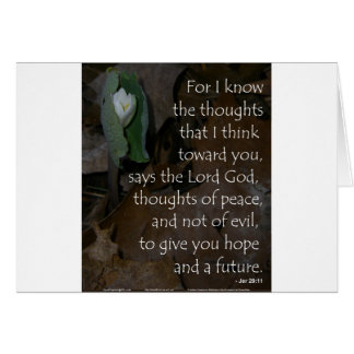 Esperanza del 29:11 de Jeremiah del futuro
