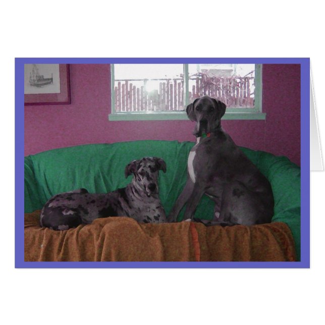 Esperanza y daneses de Merle del héroe grandes (Anverso (Horizontal))