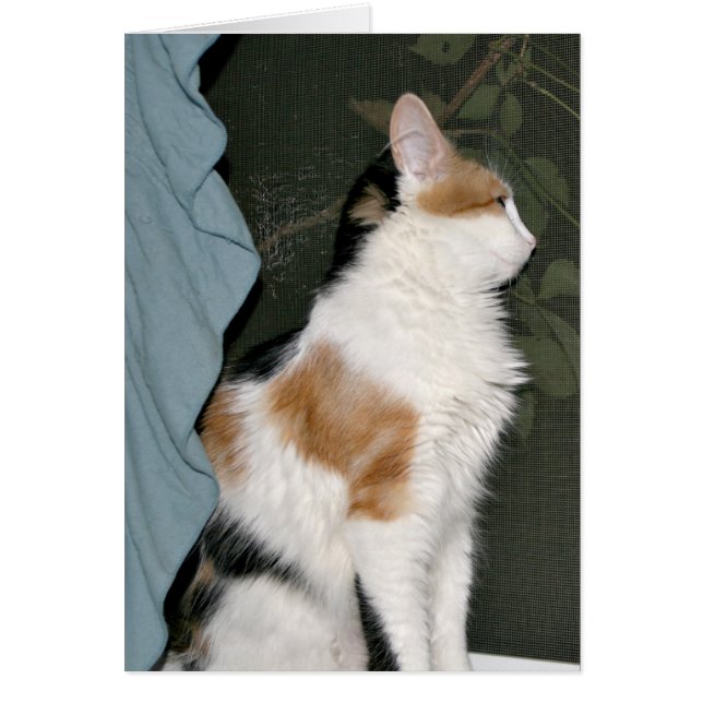 Esperanzas de amor (Frente)