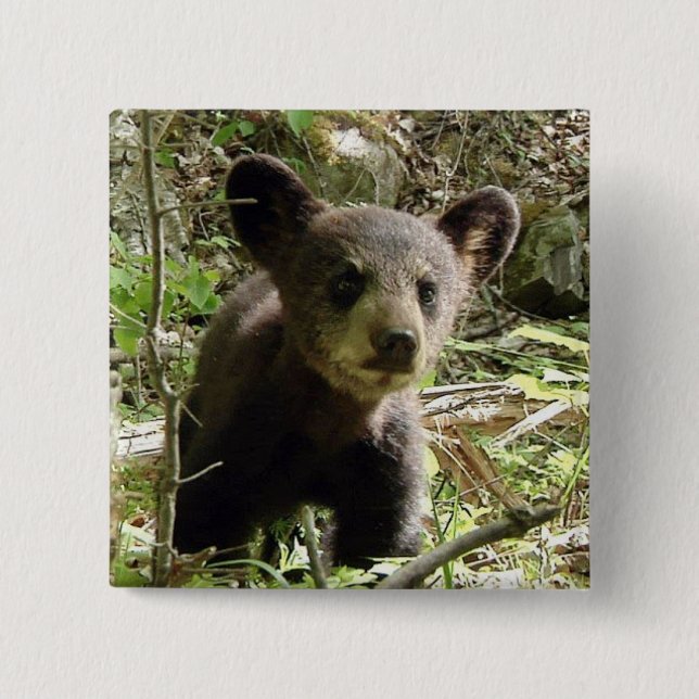 Espere el botón del oso (Anverso)