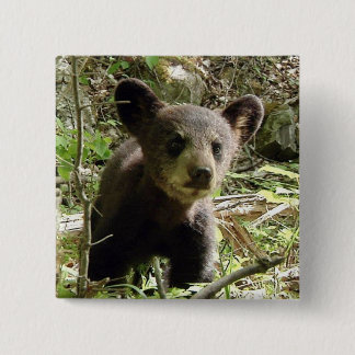 Espere el botón del oso