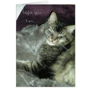 ¡espere que usted dos… continúe disfrutando de sus