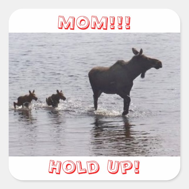 ¡¡¡Esperen!!! Moose Pegatinas (Anverso)
