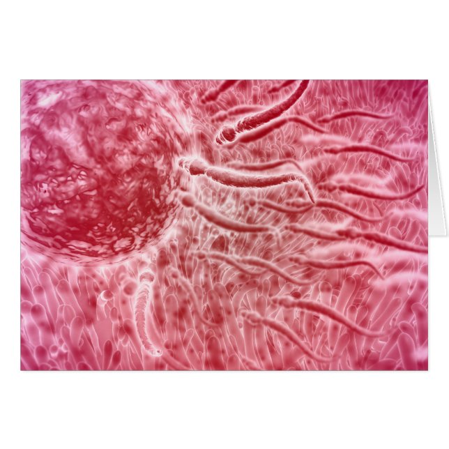 Esperma Viajando Hacia Huevo Con Cellia (Anverso (Horizontal))