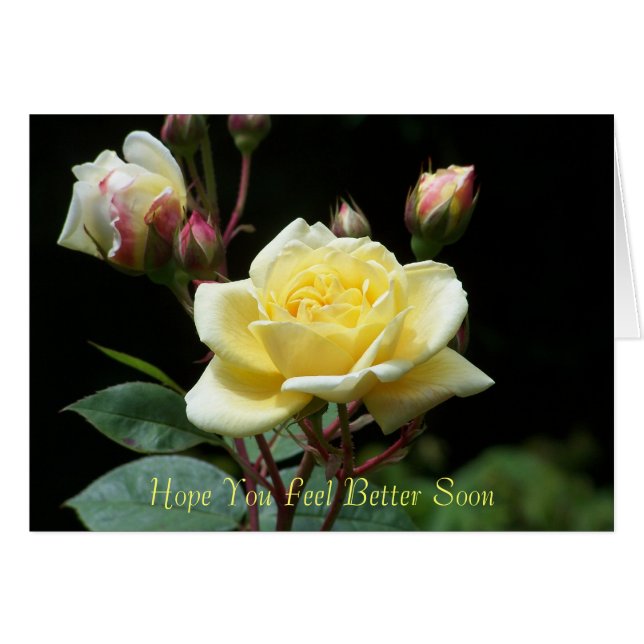 Espero Que Te Sientas Mejor Pronto. (Anverso (Horizontal))