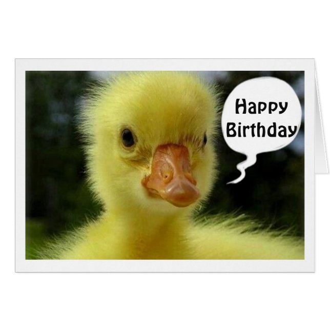 ESPERO QUE TU CUMPLEAÑOS SÓLO SEA DEMASIADO DIGNO (Anverso (Horizontal))