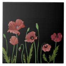 Espías rojas en tejas negras