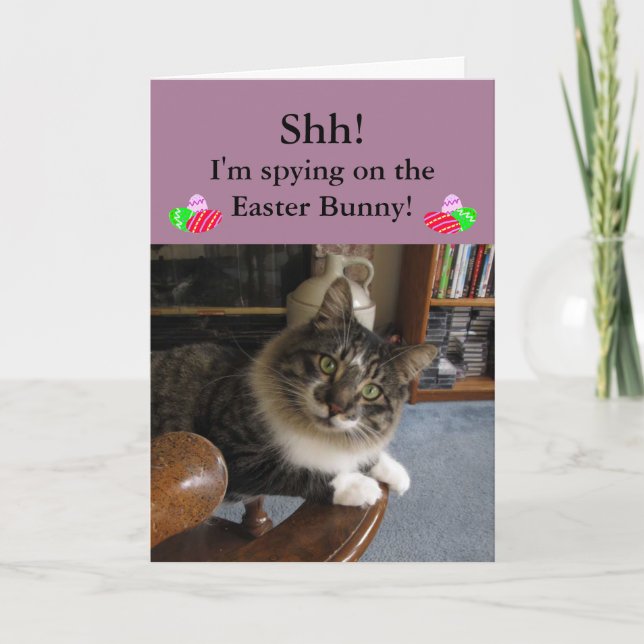 Espionaje de gatos en la tarjeta de pascua de los  (Anverso)