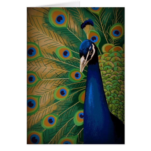 ESPÍRITU DE BELLEZA (Frente)