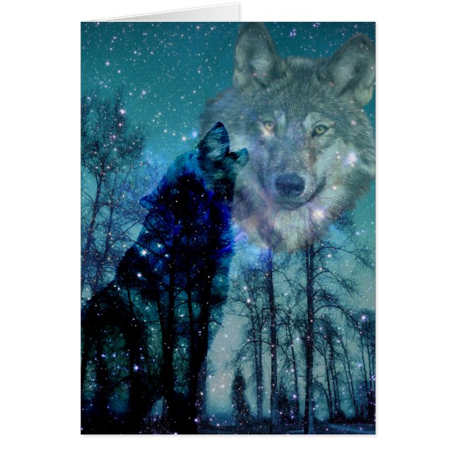 Espíritu salvaje (Frente)