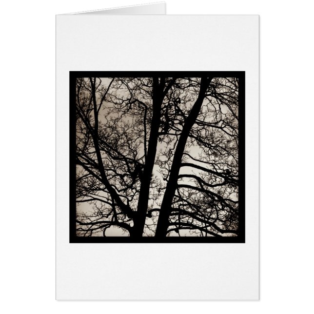 Espíritus del árbol (Frente)