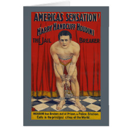 Esposas Houdini - el triturador de Harry del