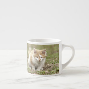 Espresso mascota del gato fotográfico de la taza de espres