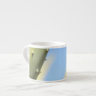 Espresso Taza de café exprés cielo azul aloe verde elegante