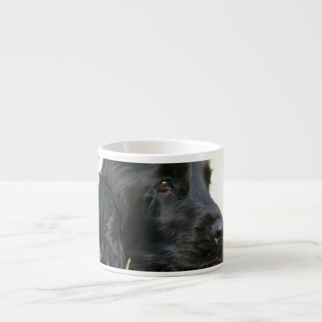 Espresso Taza negra de la especialidad del perro de cocker (Frente)