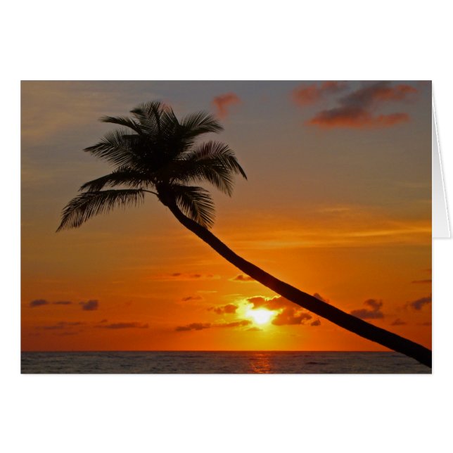 Espuma de mar (Anverso (Horizontal))