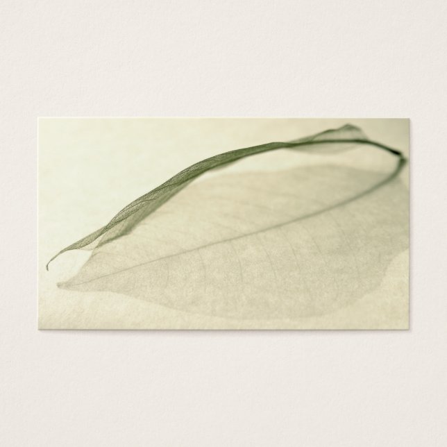 esqueleto de hoja (Frente)