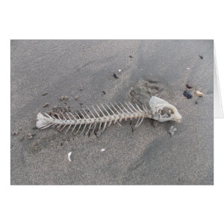 Esqueleto de la playa