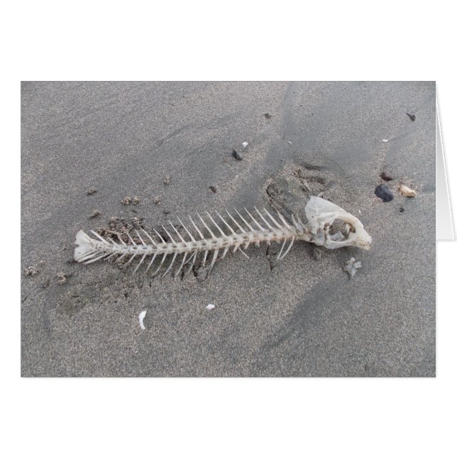 Esqueleto de la playa (Anverso (Horizontal))