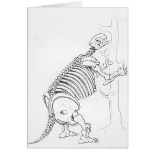 Esqueleto de un Mylodon
