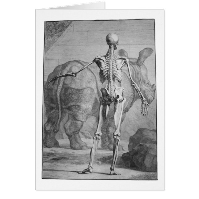 Esqueleto y rinoceronte (Frente)