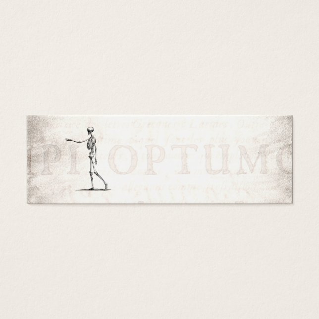 Esqueletos antiguos de la anatomía de los esquelet (Frente)