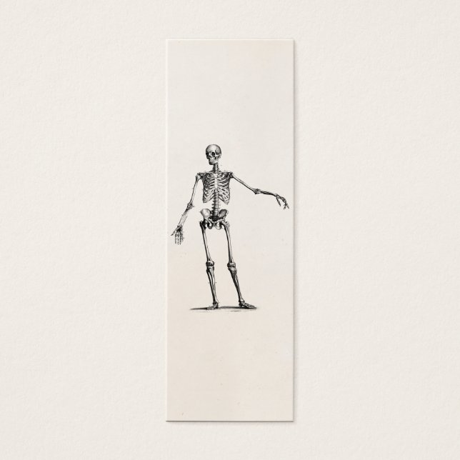 Esqueletos antiguos de la anatomía retro de esquel (Frente)