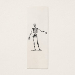 Esqueletos retros esqueléticos de la anatomía de