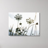 Esquema de flores de hueso - Fotografía de arte fl