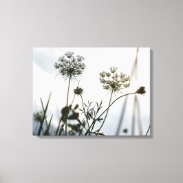 Esquema de flores de hueso - Fotografía de arte fl
